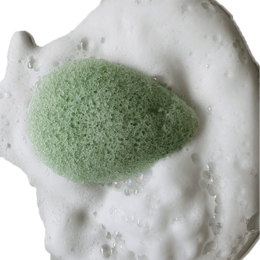 Tout savoir sur l'éponge Konjac !