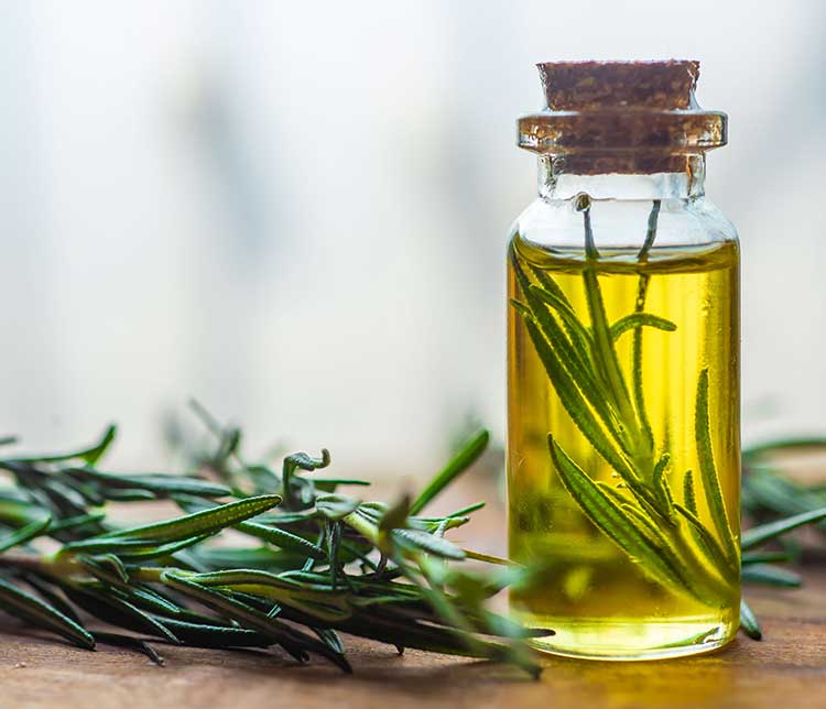 Plantes et huile d'olive, ingrédient principal des savons naturels. Ingrédients biologiques. Savons surgras. Savons saponifiés à froid.
